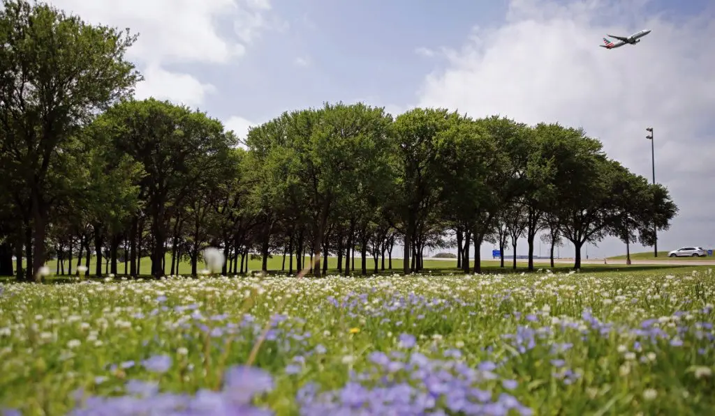 DFW Airport es un hub sustentable