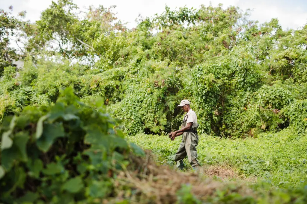 Grupo Iberostar disminuyó su impacto ambiental en 2022