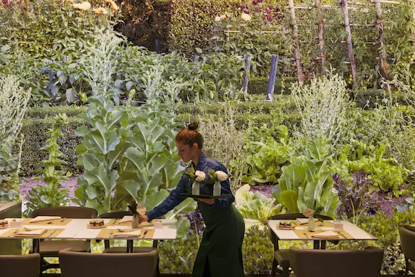 Beyond Green agrega 4 hoteles sustentables a su colección Beyond Green agrega 4 hoteles sustentables a su colección