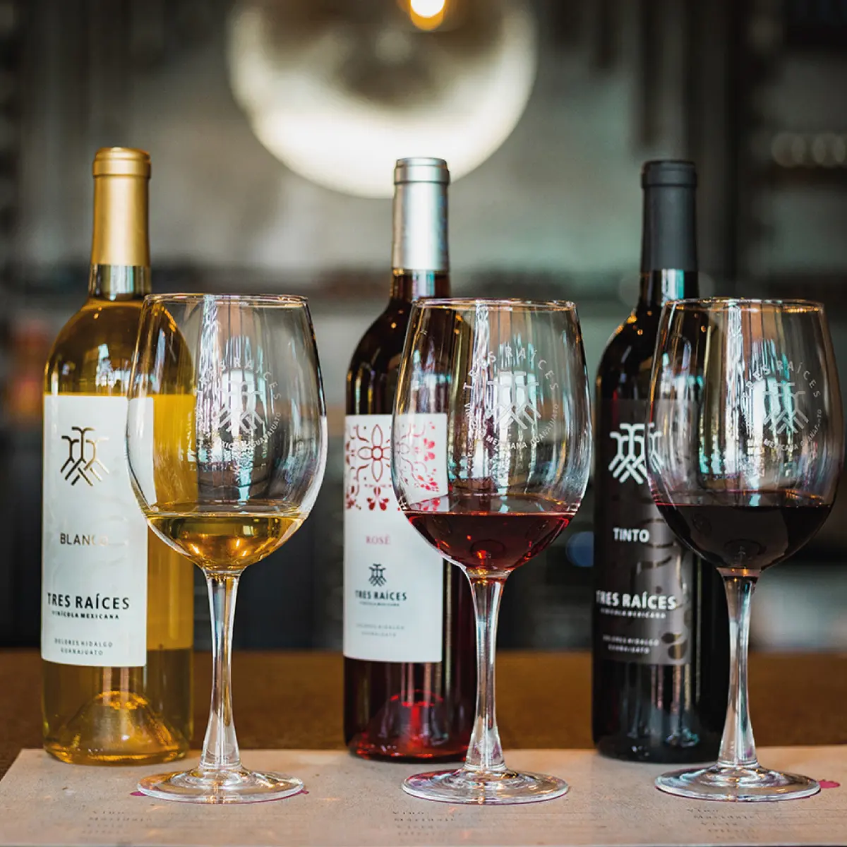 El vino se adueña de León en el 2do Congreso Vitivinícola de Guanajuato El vino se adueña de León en el 2do Congreso Vitivinícola de Guanajuato