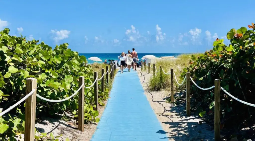 Atracciones imperdibles para vacacionar en Florida Atracciones imperdibles para vacacionar en Florida