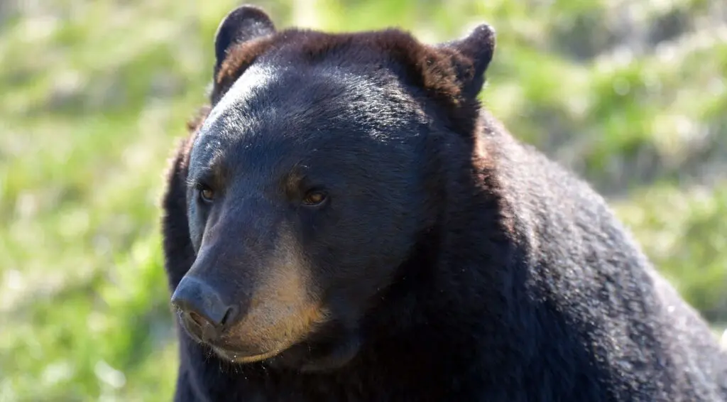 Imperdibles de Arizona para un road trip este 2025 Imperdibles de Arizona para un road trip este 2025