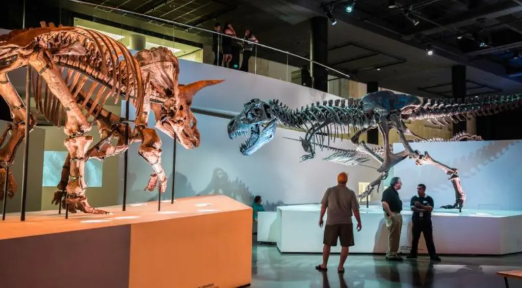 Atracciones imperdibles en Houston 