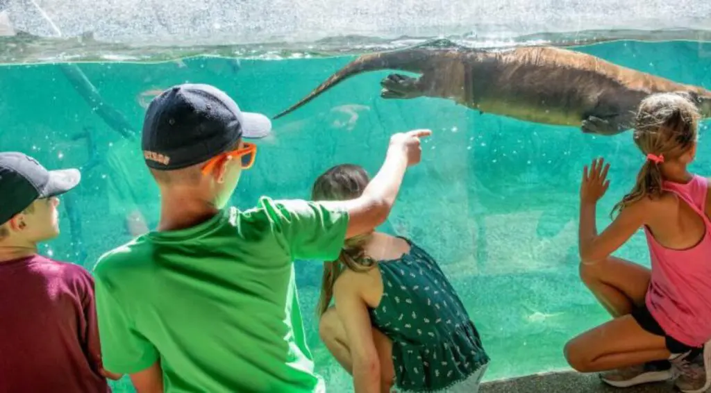 Atracciones imperdibles en Houston 