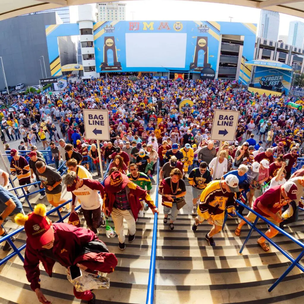 3 actividades imperdibles en Tampa Bay 3 actividades imperdibles en Tampa Bay