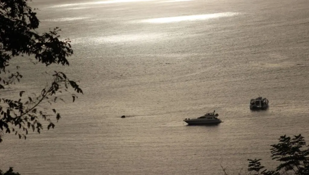 Explorando Manuel Antonio, una maravilla natural en Costa Rica 