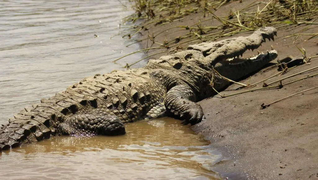 4 actividades de turismo de aventura en Costa Rica