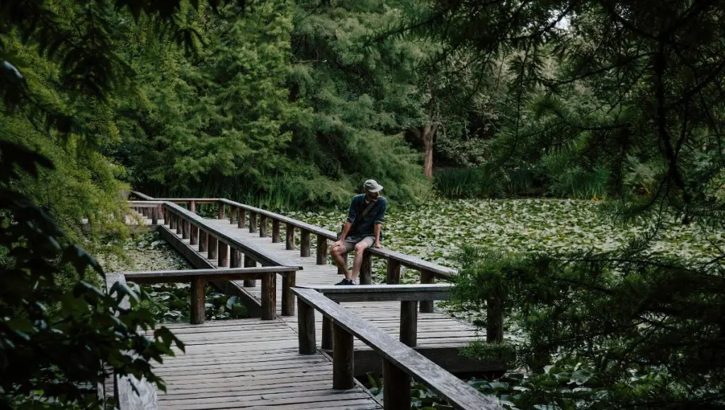 British Columbia: un itinerario perfecto para actividades en la naturaleza British Columbia: un itinerario perfecto para actividades en la naturaleza