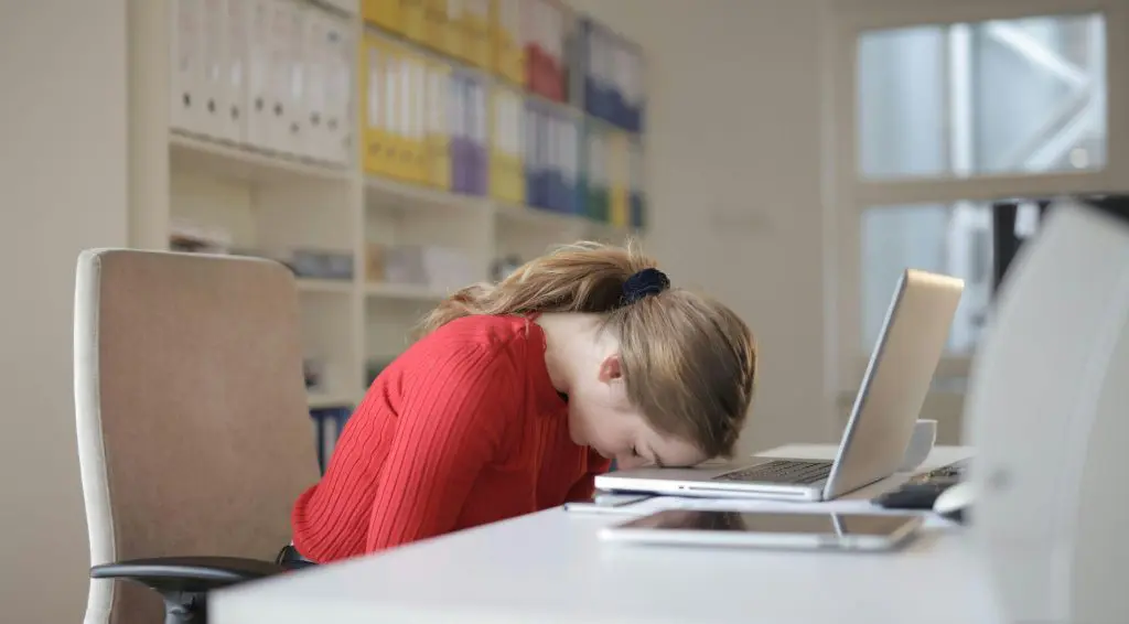 Estos son los días de descanso que quedan en 2024 Estos son los días de descanso que quedan en 2024