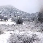 Chepe Express con nieve.