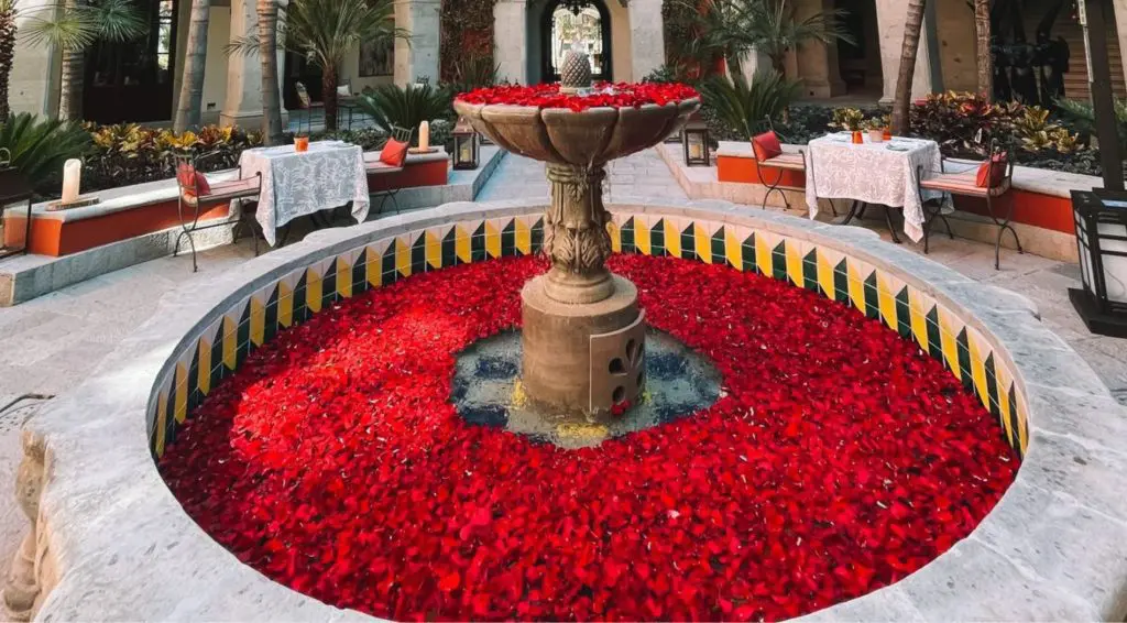 Qué hacer en San Miguel de Allende el 14 de febrero Qué hacer en San Miguel de Allende el 14 de febrero