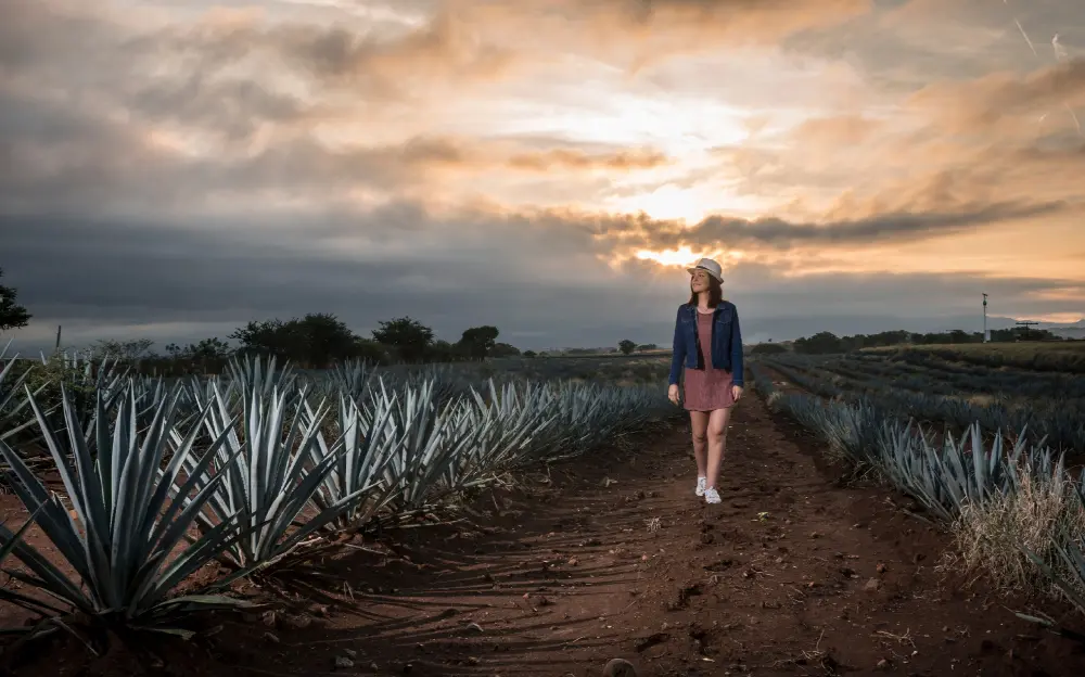Este es considerado el mejor aeropuerto de Latinoamérica Este es considerado el mejor aeropuerto de Latinoamérica