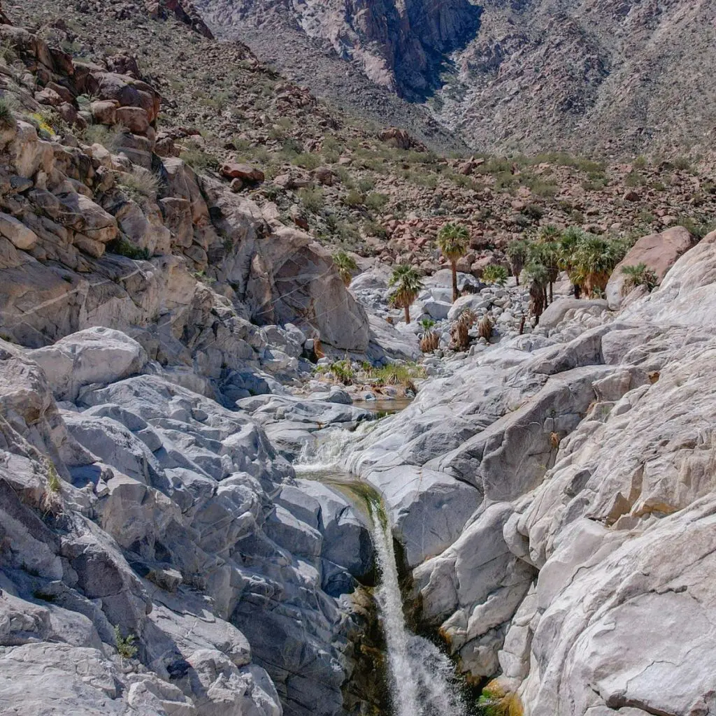Baja California se consolida como el destino de 2025 gracias al Tianguis Turístico
