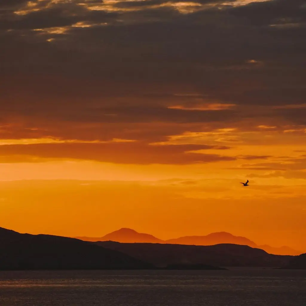 Baja California se consolida como el destino de 2025 gracias al Tianguis Turístico