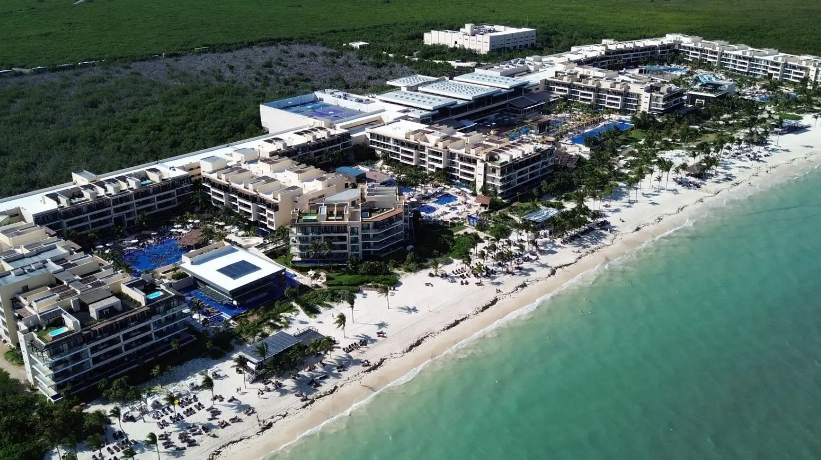 Royalton nueva imagen