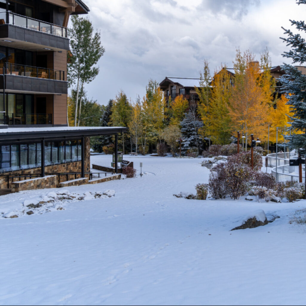 actividades de invierno en Jackson Holte