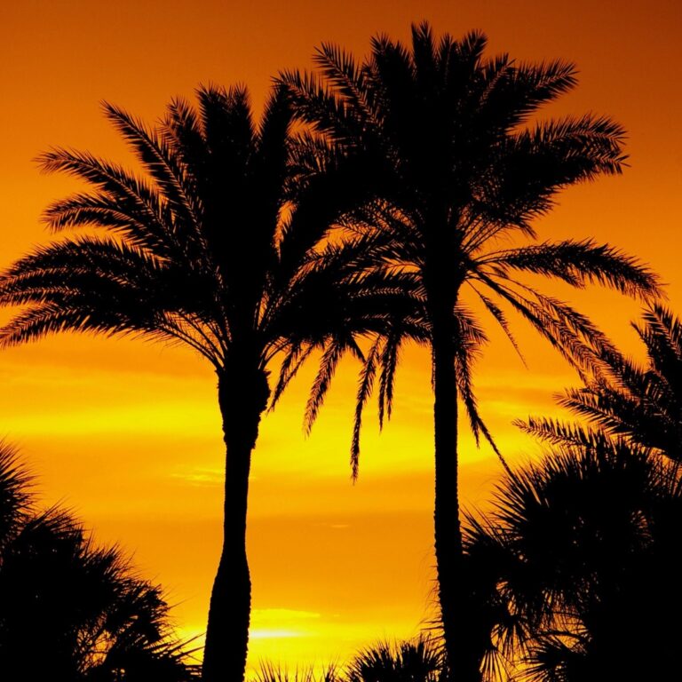 Florida es un lugar perfecto para viajar