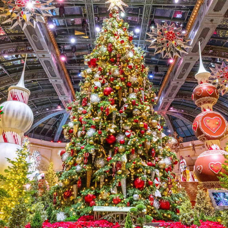Árboles y luces de Navidad infinitas en Las Vegas
