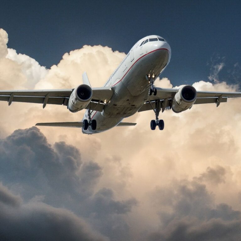 Programa zero de IATA 2050.