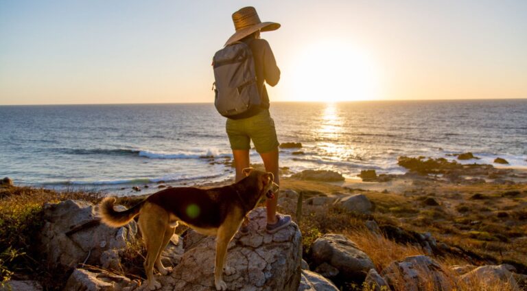 Hoteles pet friendly en Los Cabos