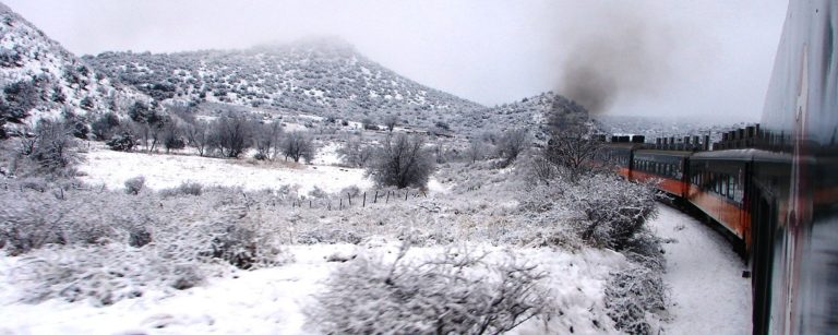 Chihuahua con nieve.