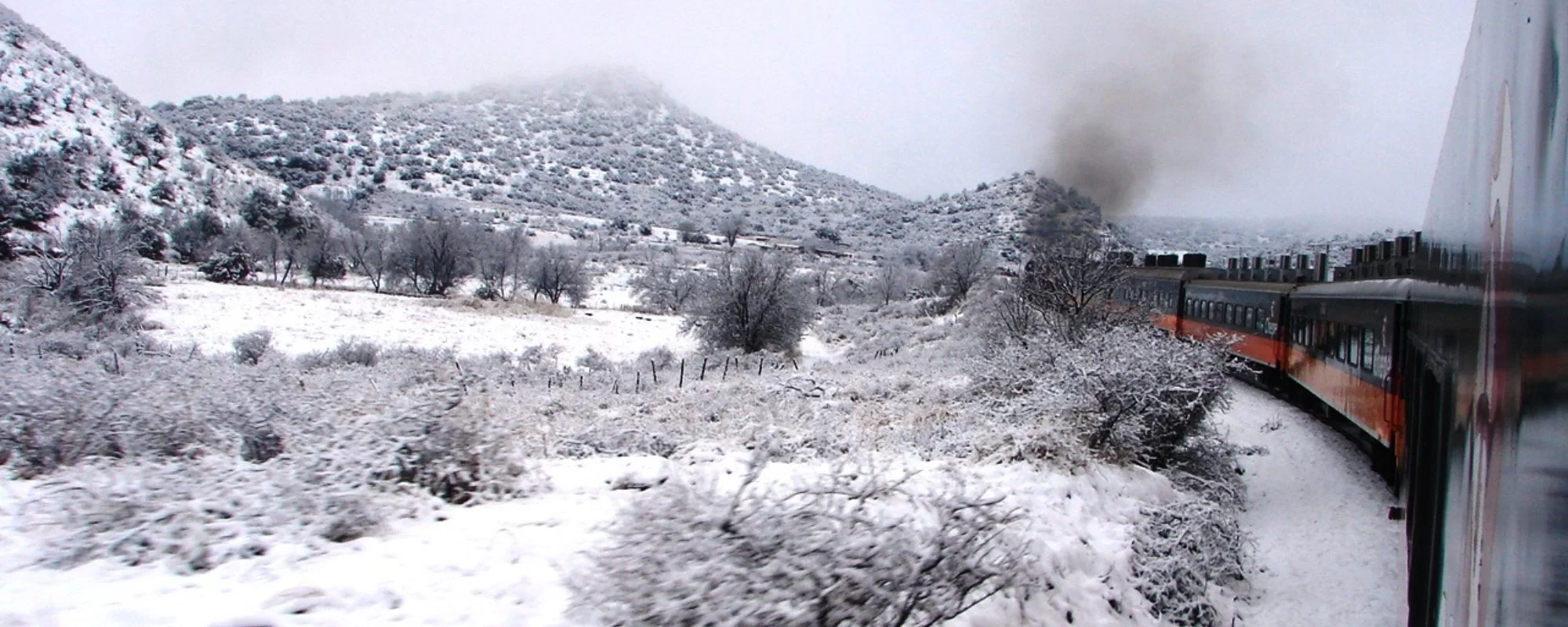 Chihuahua con nieve.