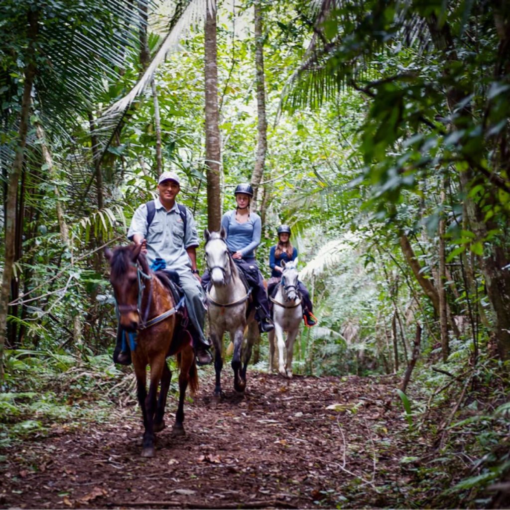 Lodge Belize.
