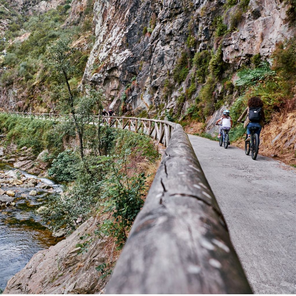 Día de la Bicicleta.