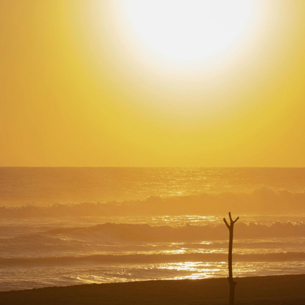 16 playas mexicanas no son aptas para nadar este Verano 2025, según Cofepris Playas más contaminadas en México 2025.