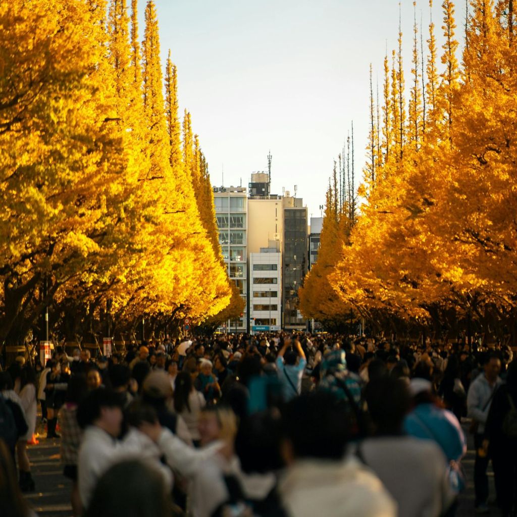 Japón en otoño.