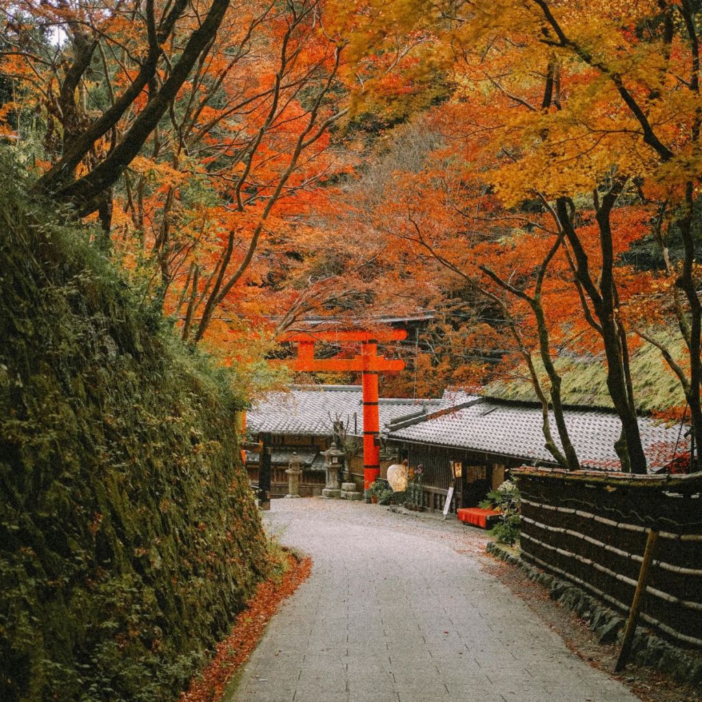 Japón en otoño. 