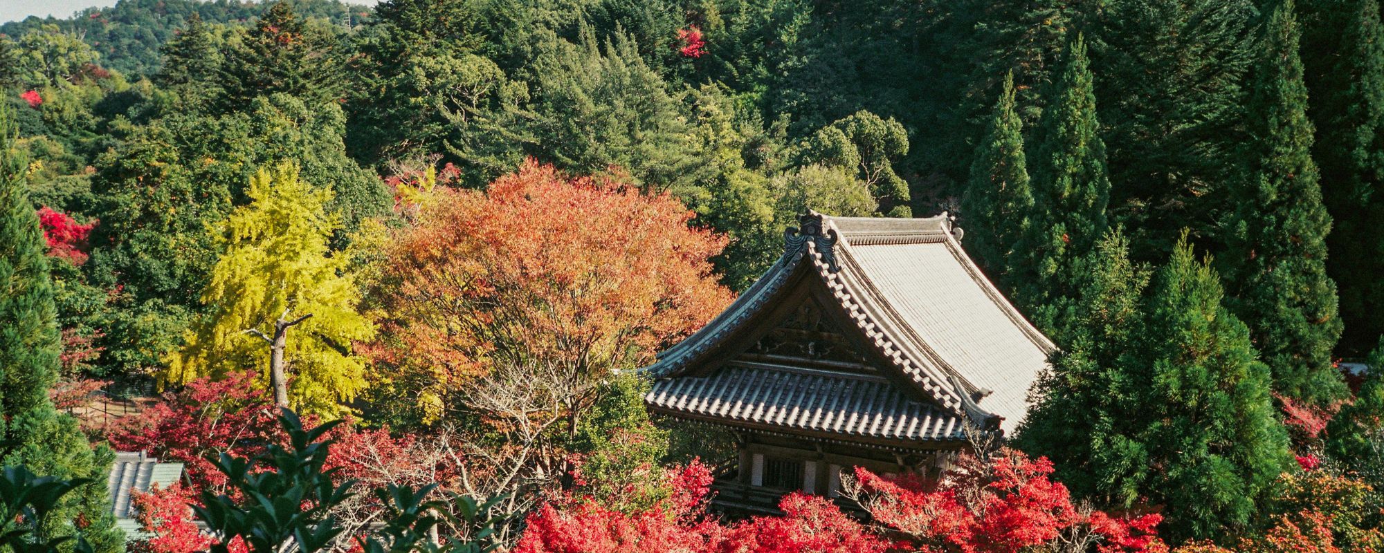 Japón en otoño.